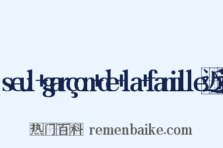 seul+garçon+de+la+famille近义词是什么意思的图片